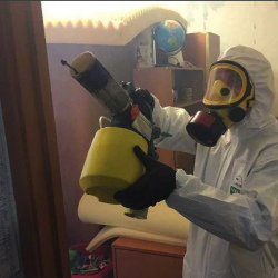 Уничтожение клопов в квартире. Чекалин